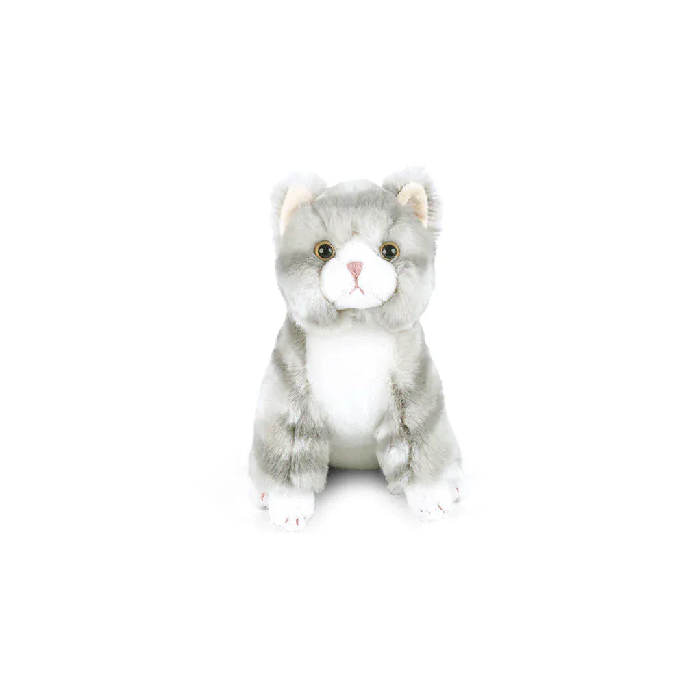 Cassie Kitty MON AMI Lil Tulips