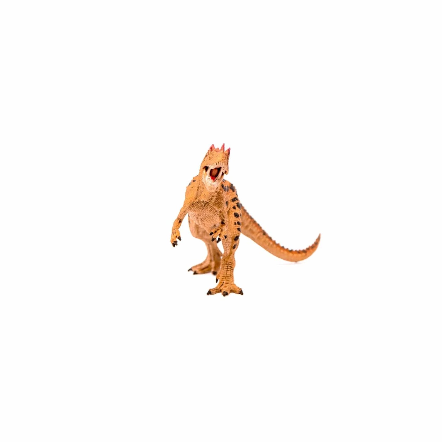 Ceratosaurus Realistic Dinosaur Toy with Movable Jaw Schleich Lil Tulips