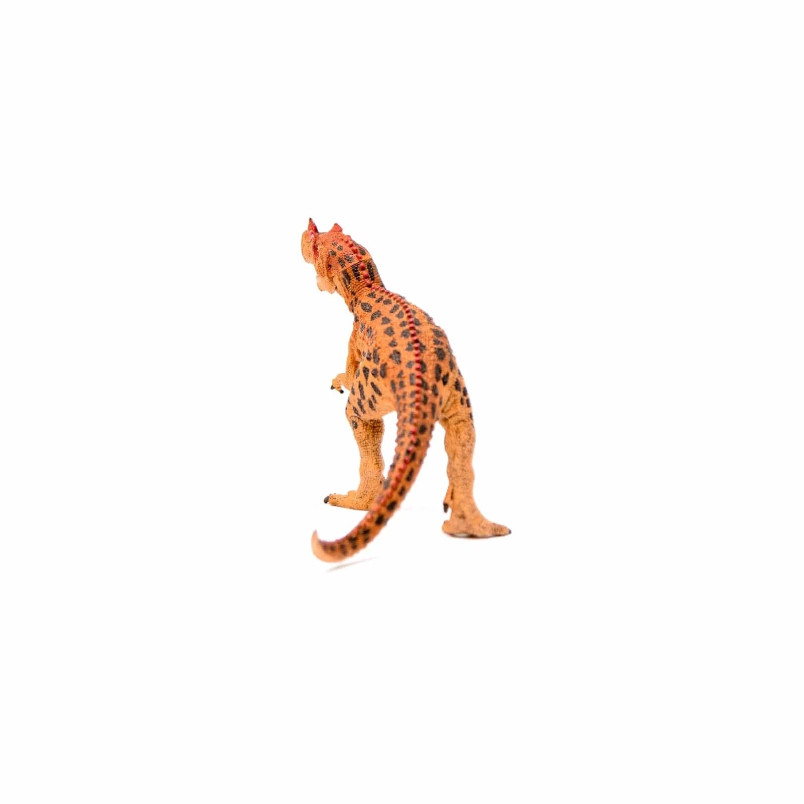 Ceratosaurus Realistic Dinosaur Toy with Movable Jaw Schleich Lil Tulips