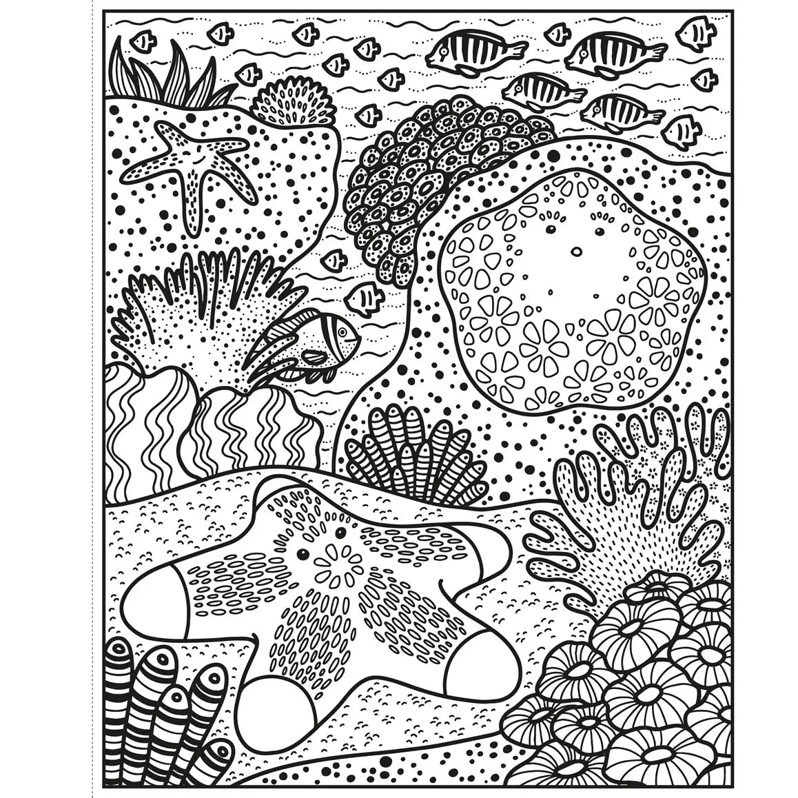 Coral Reef Magic Painting Book Harper Collins Childrens Lil Tulips