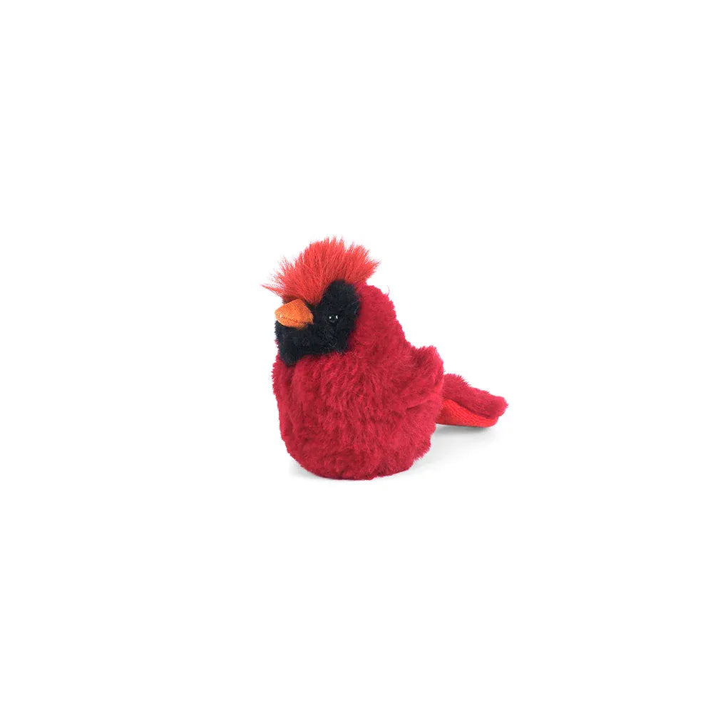 Crimson Cardinal MON AMI Lil Tulips