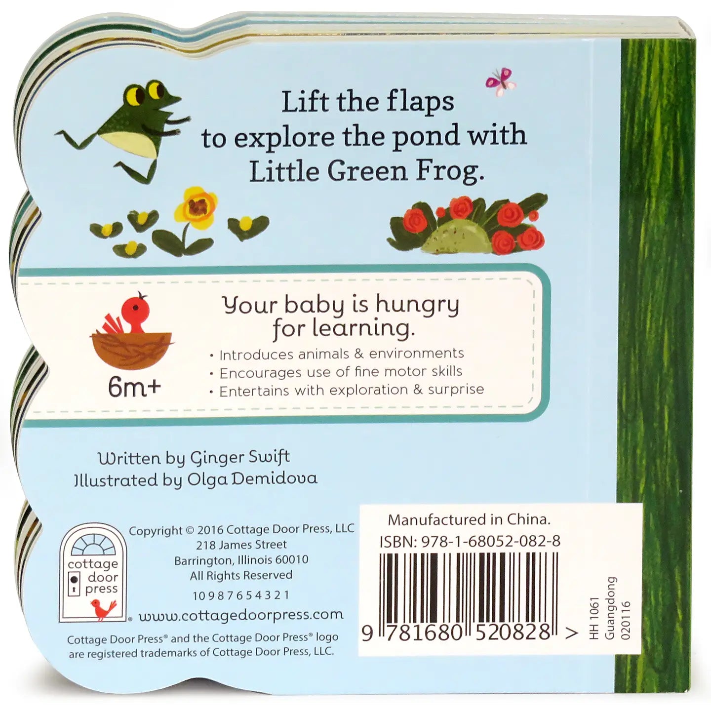 Little Green Frog Lift-A-Flap Board Book