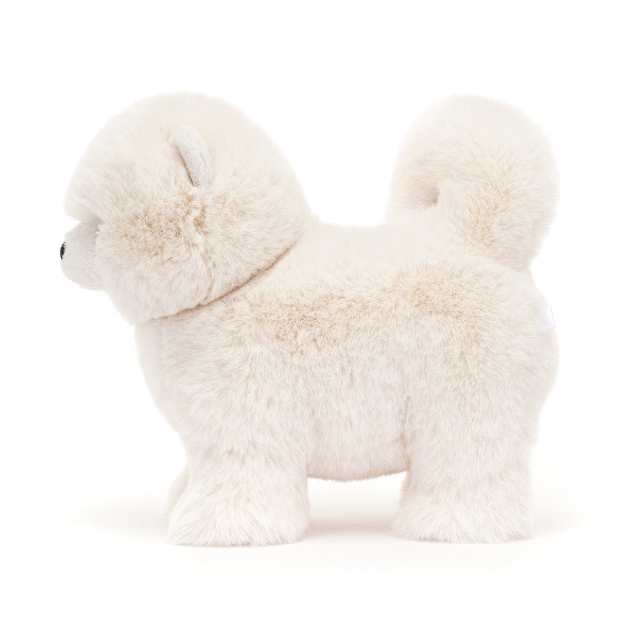 Daphne Pomeranian Jellycat Lil Tulips