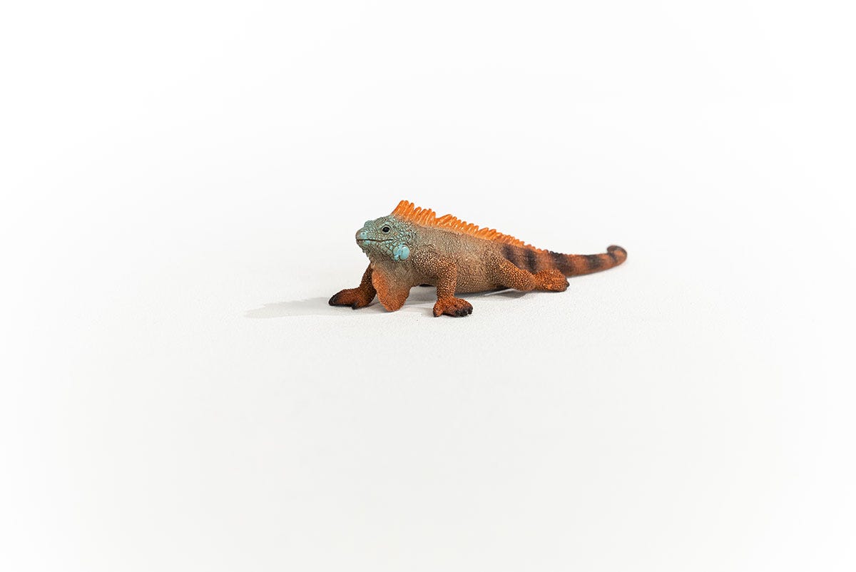 Iguana Animal Toy