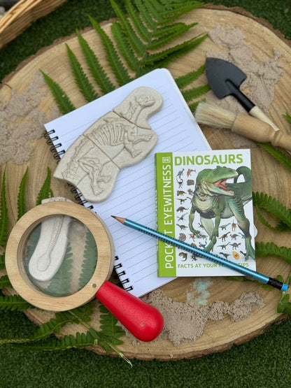 Dig and Discover - Ankylosaurus &  Tyrannosaurus Rex Yellow Door US LLC Lil Tulips