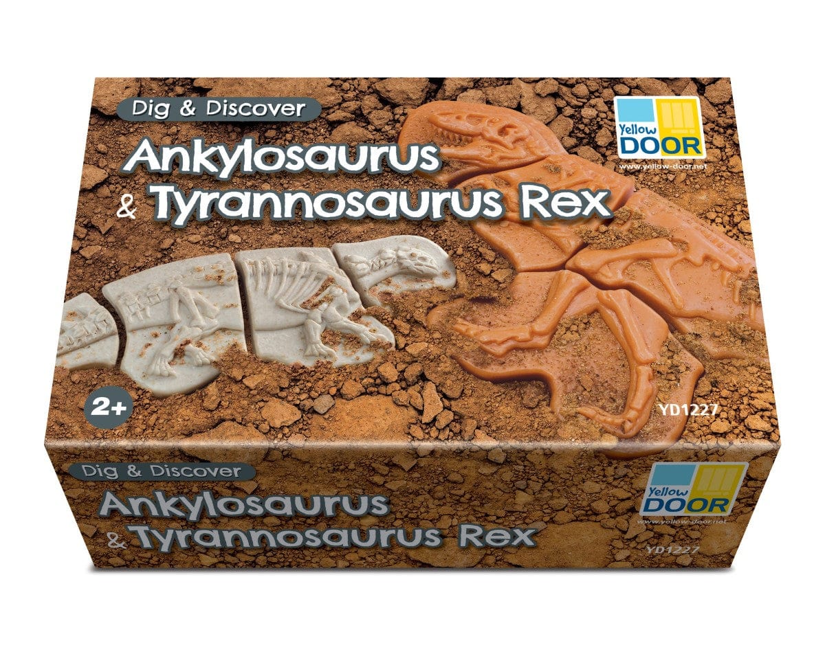 Dig and Discover - Ankylosaurus &  Tyrannosaurus Rex Yellow Door US LLC Lil Tulips