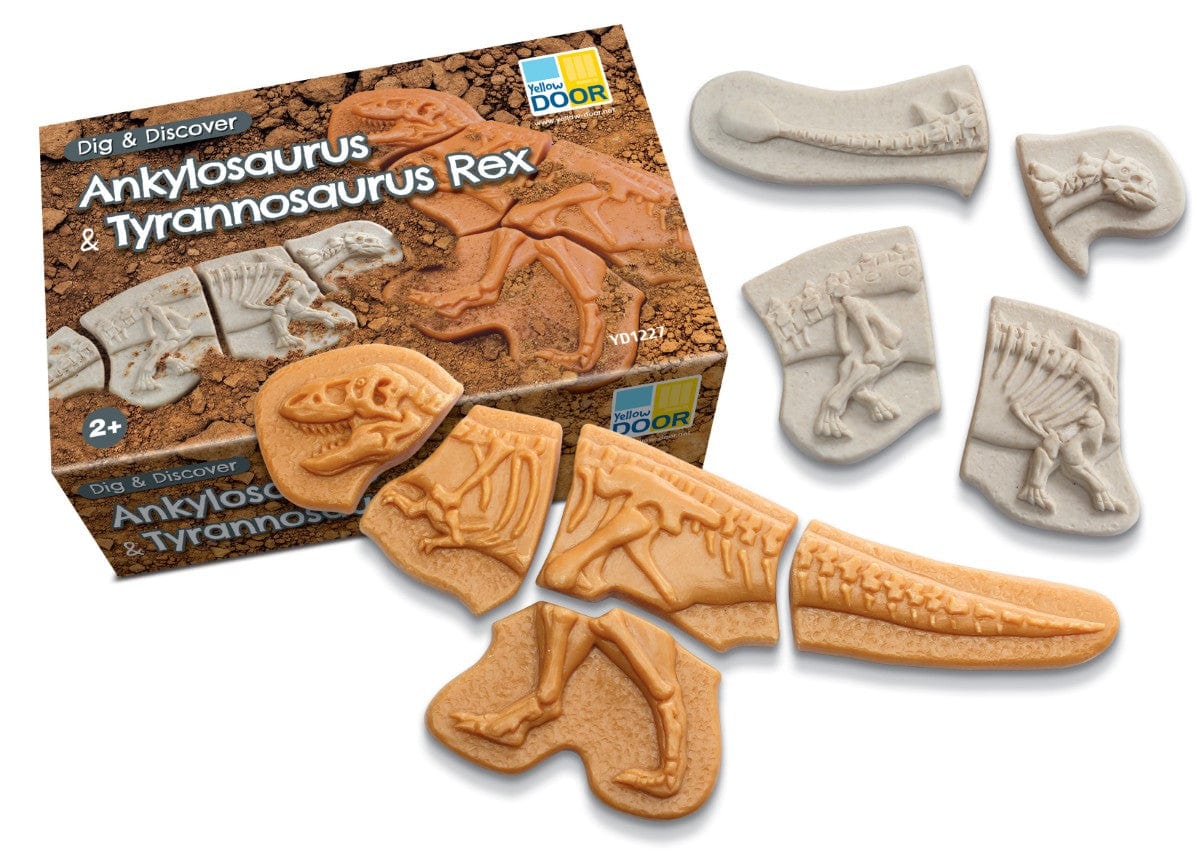 Dig and Discover - Ankylosaurus &  Tyrannosaurus Rex Yellow Door US LLC Lil Tulips