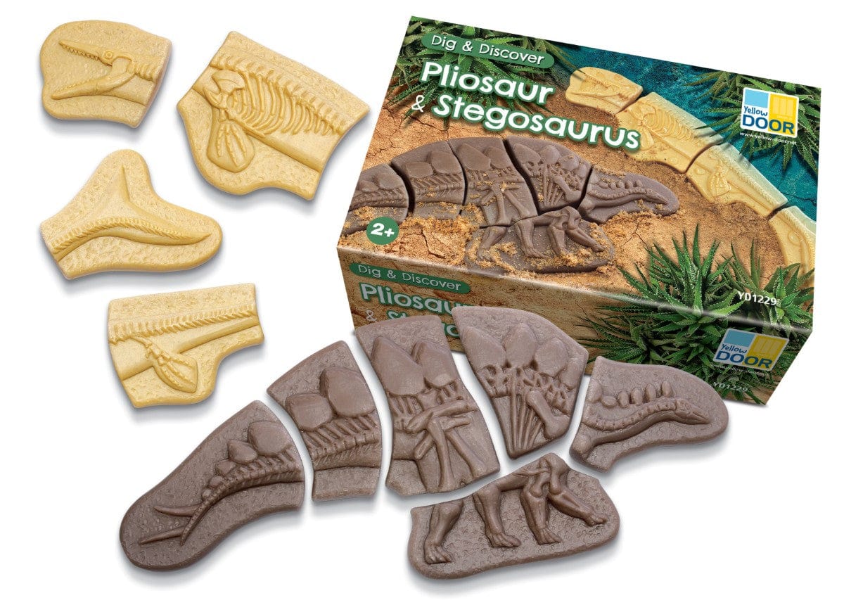 Dig and Discover – Pliosaur & Stegosaurus Yellow Door US LLC Lil Tulips