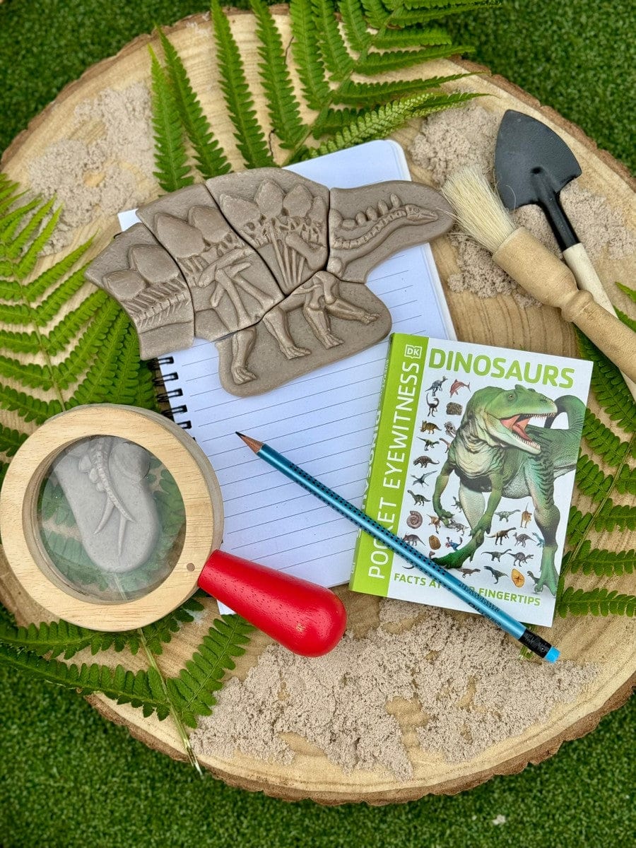 Dig and Discover – Pliosaur & Stegosaurus Yellow Door US LLC Lil Tulips