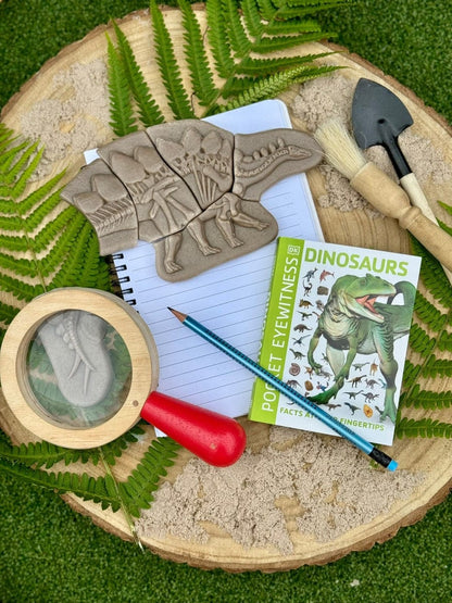 Dig and Discover – Pliosaur & Stegosaurus Yellow Door US LLC Lil Tulips