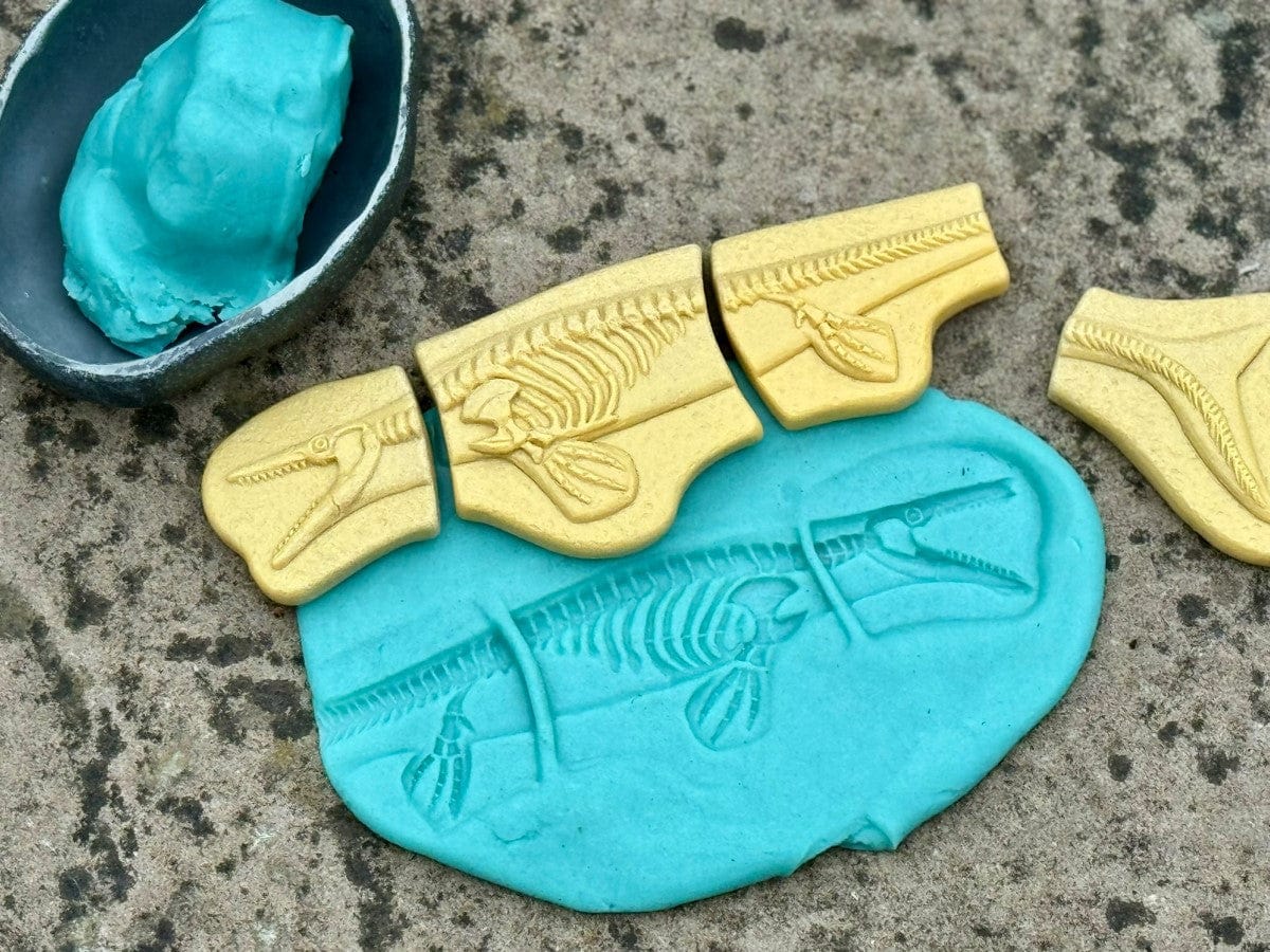 Dig and Discover – Pliosaur & Stegosaurus Yellow Door US LLC Lil Tulips