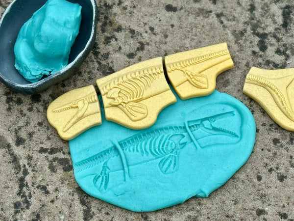 Dig and Discover – Pliosaur & Stegosaurus Yellow Door US LLC Lil Tulips