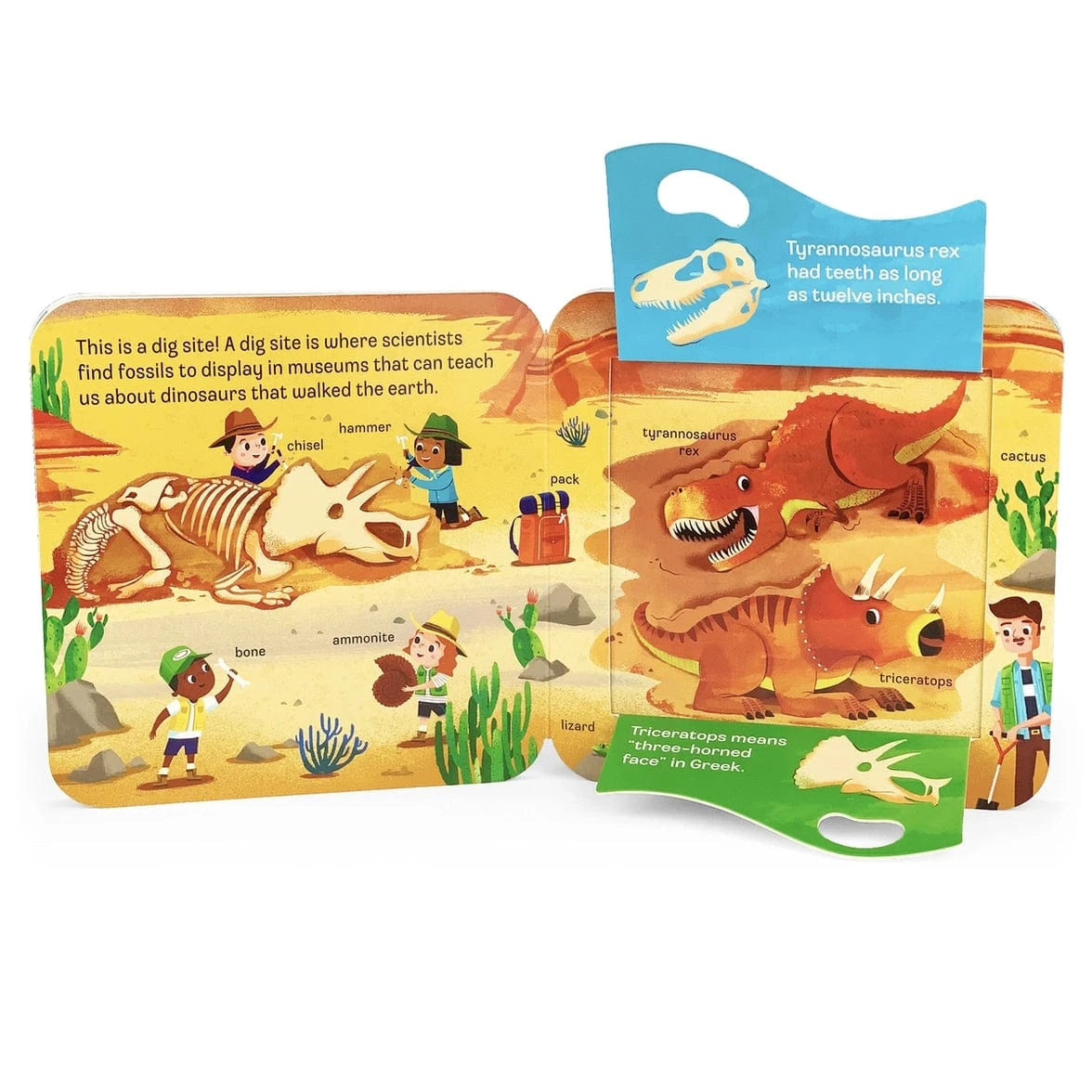 Dino Lift-A-Flap Board Book Cottage Door Press Lil Tulips