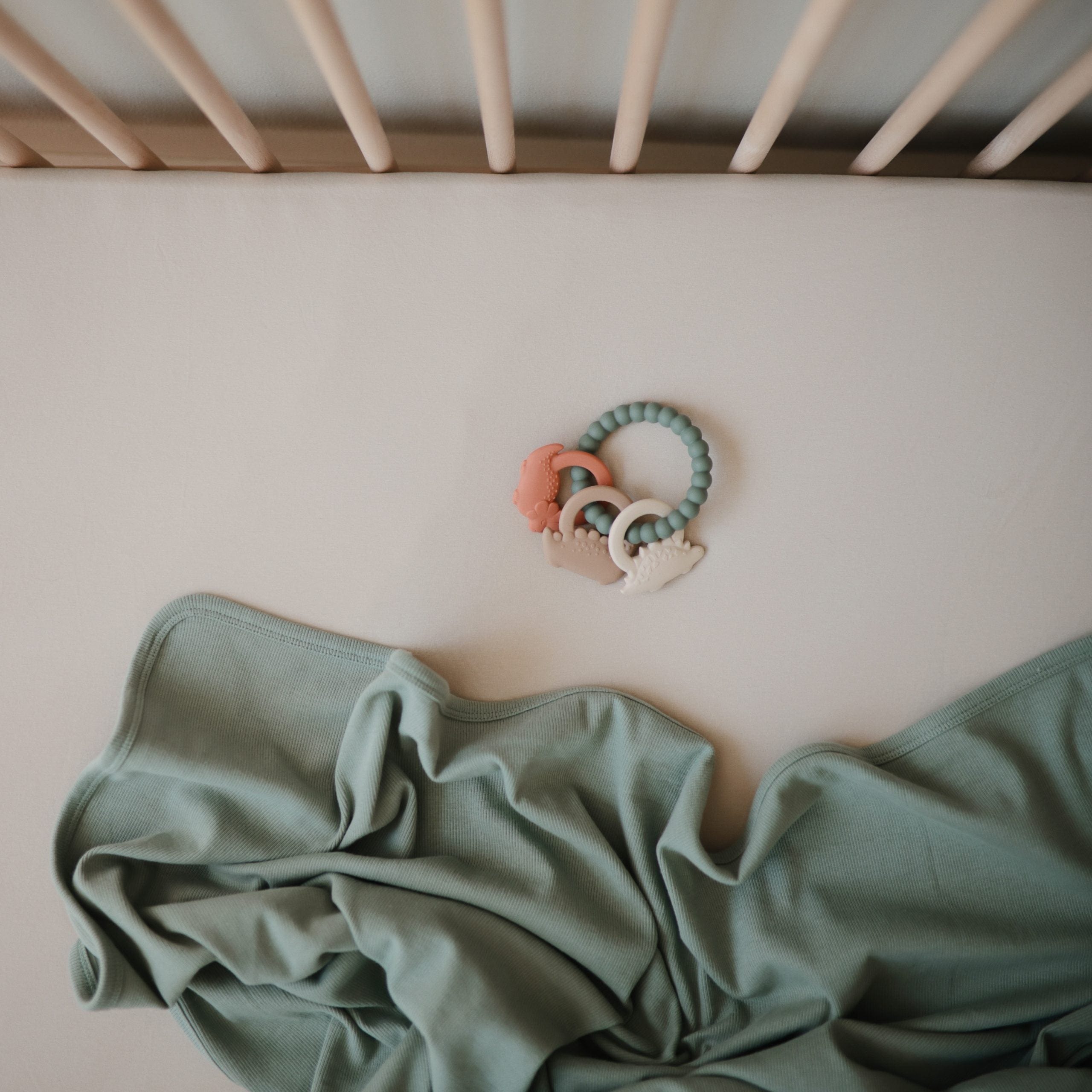 Dino Teething Ring Mushie Lil Tulips