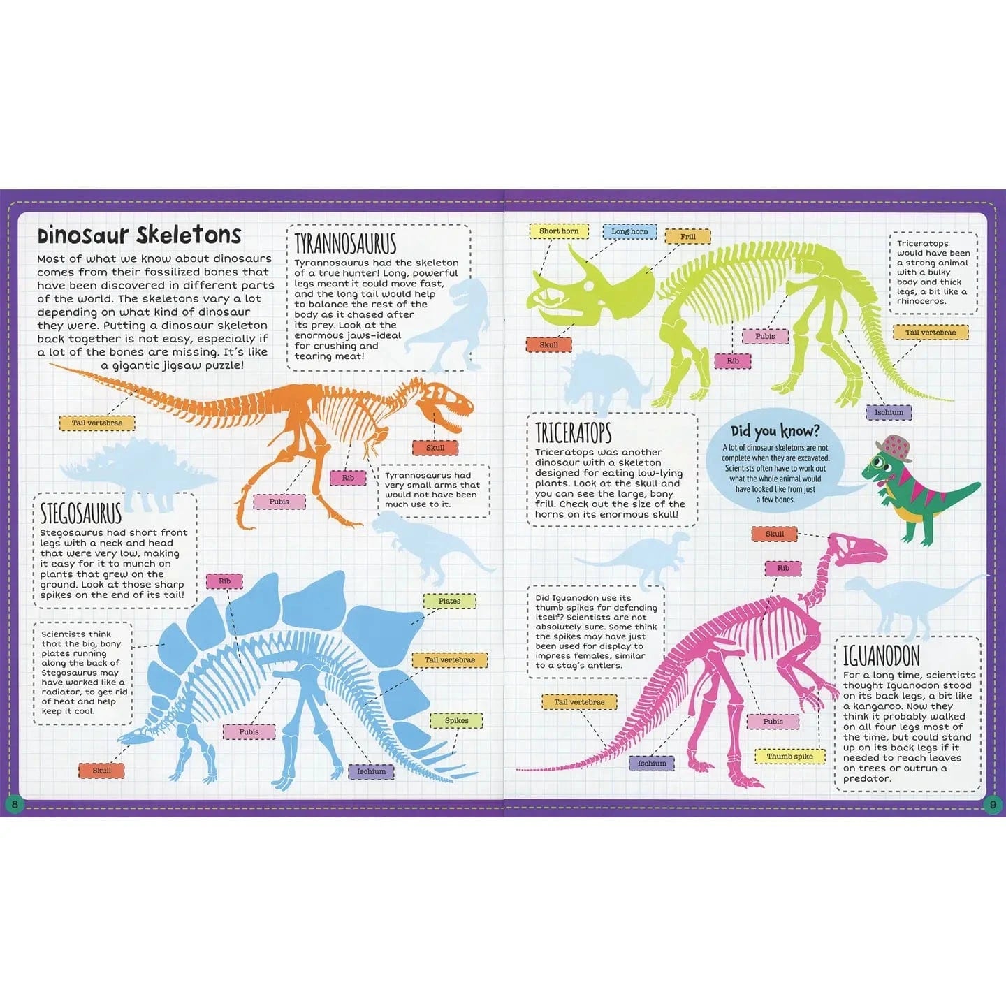 Dinosaur Sticker Facts EDC Publishing Lil Tulips