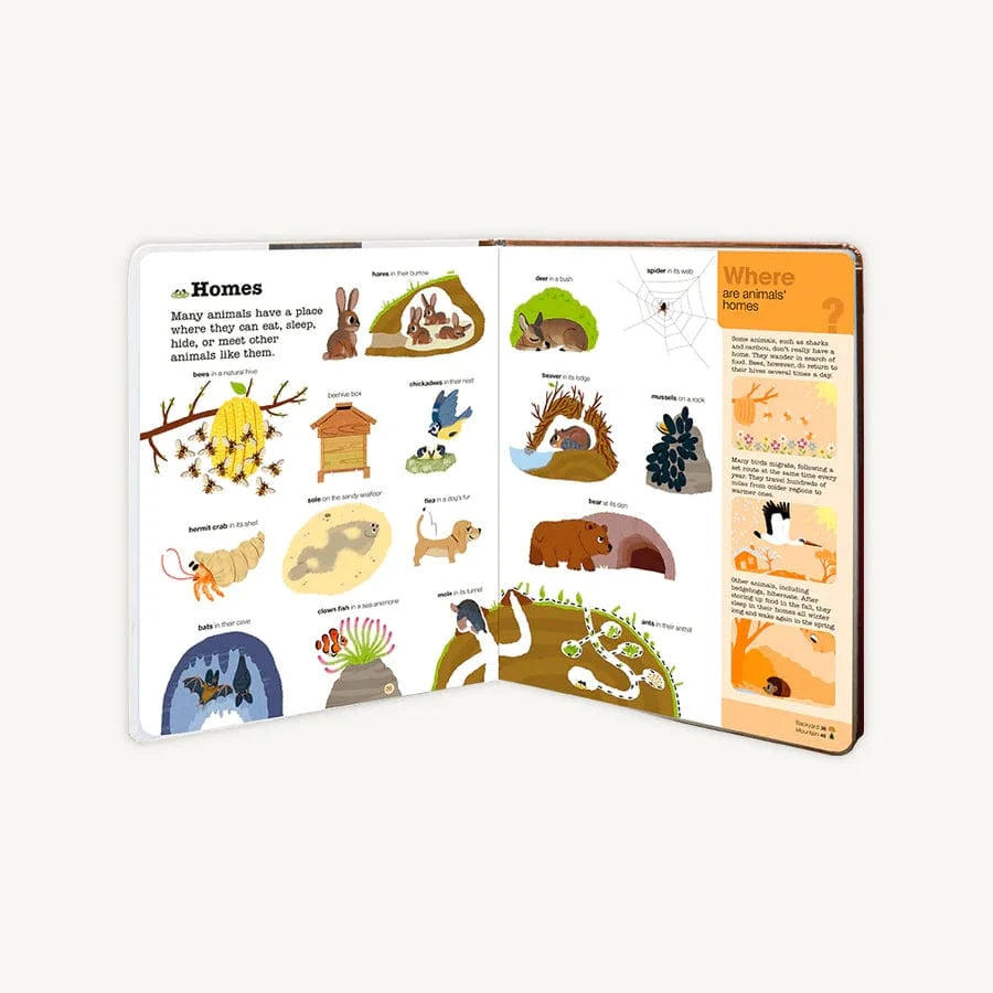 Do You Know?: Animals Chronicle Books Lil Tulips