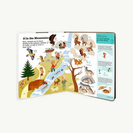 Do You Know?: Animals Chronicle Books Lil Tulips