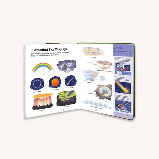 Do You Know?: Earth and Nature Chronicle Books Lil Tulips