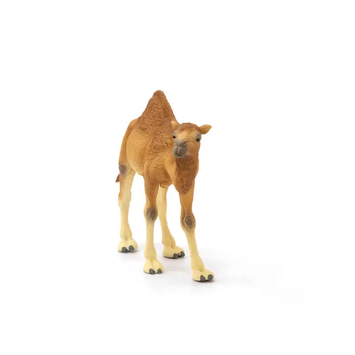 Dromedary Animal Toy Schleich Lil Tulips