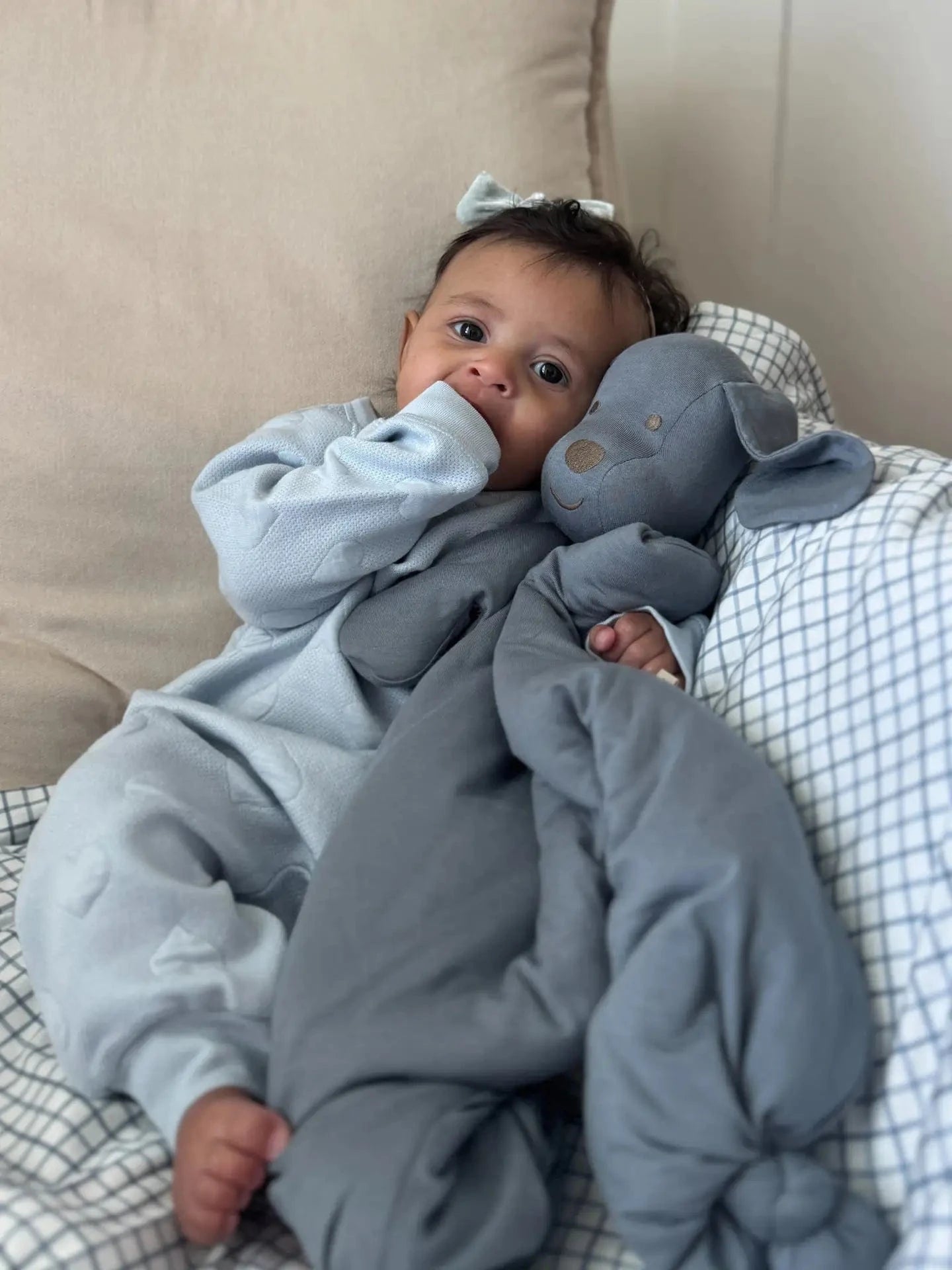 Dusky Lovey Pup Gunamuna Lil Tulips