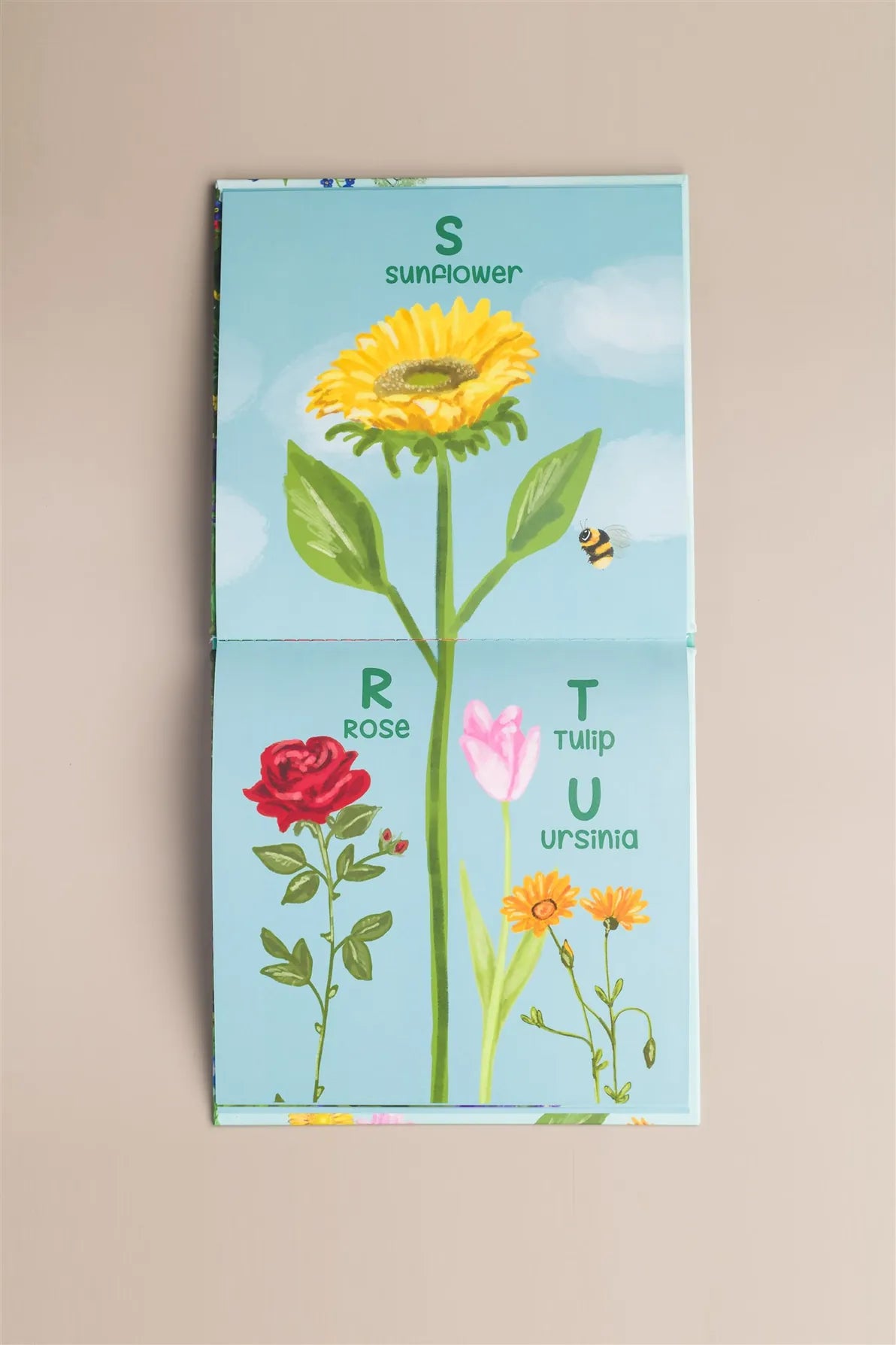 A Bee Sees the Abc's Hardback