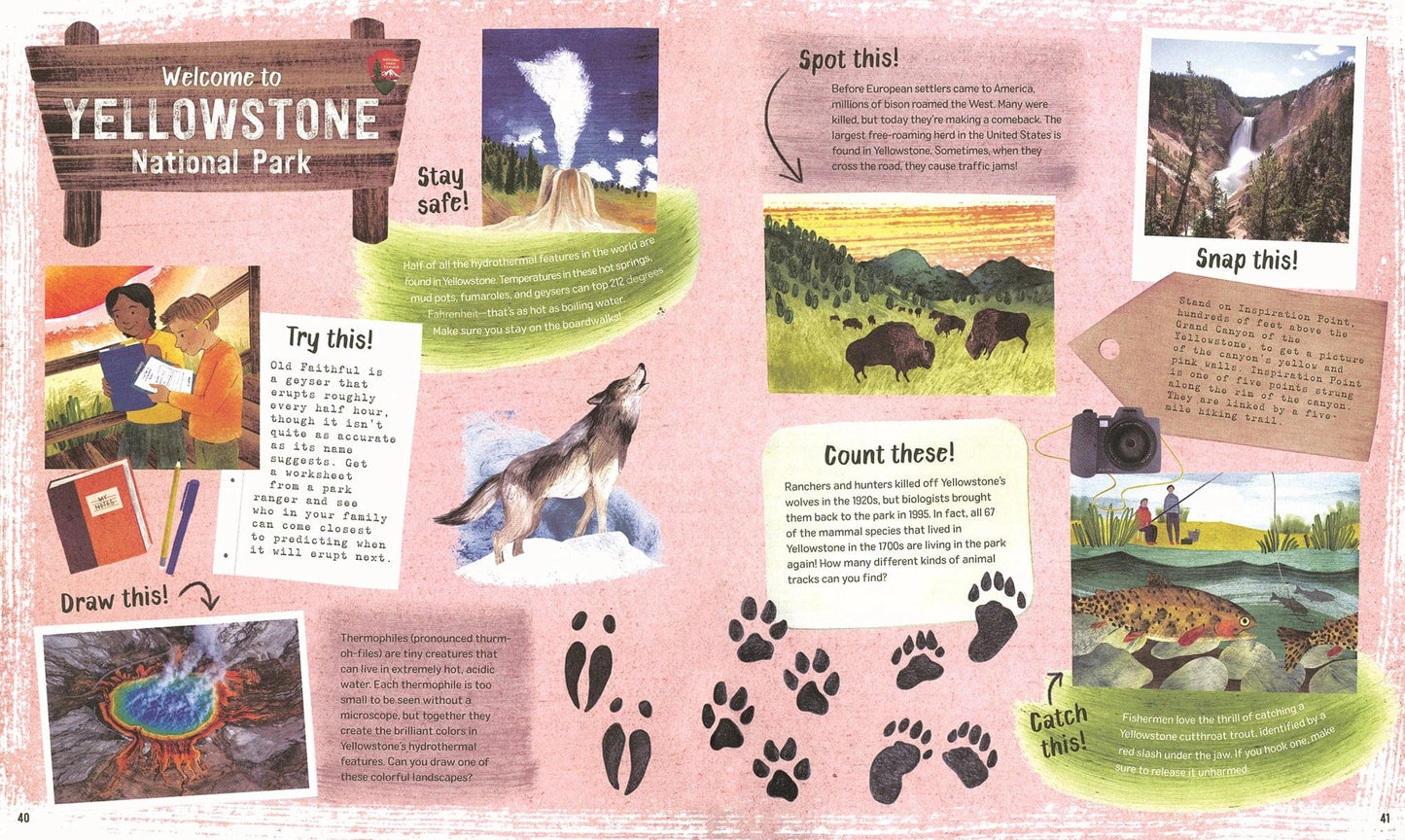 Explore! America's National Parks EDC Publishing Lil Tulips