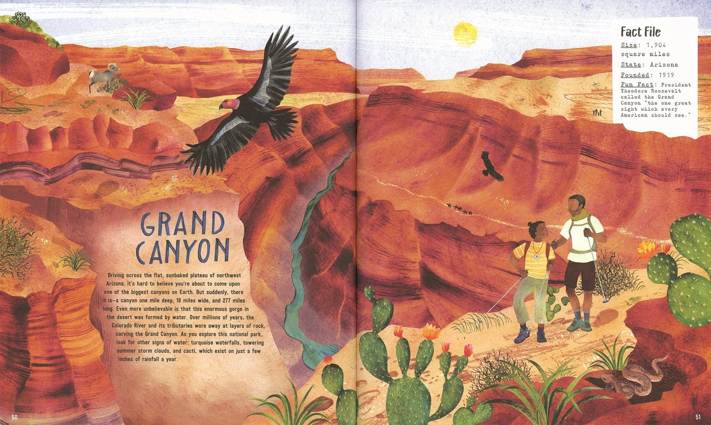 Explore! America's National Parks EDC Publishing Lil Tulips