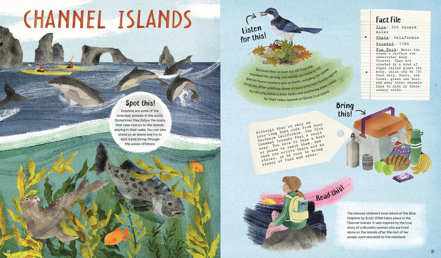 Explore! America's National Parks EDC Publishing Lil Tulips