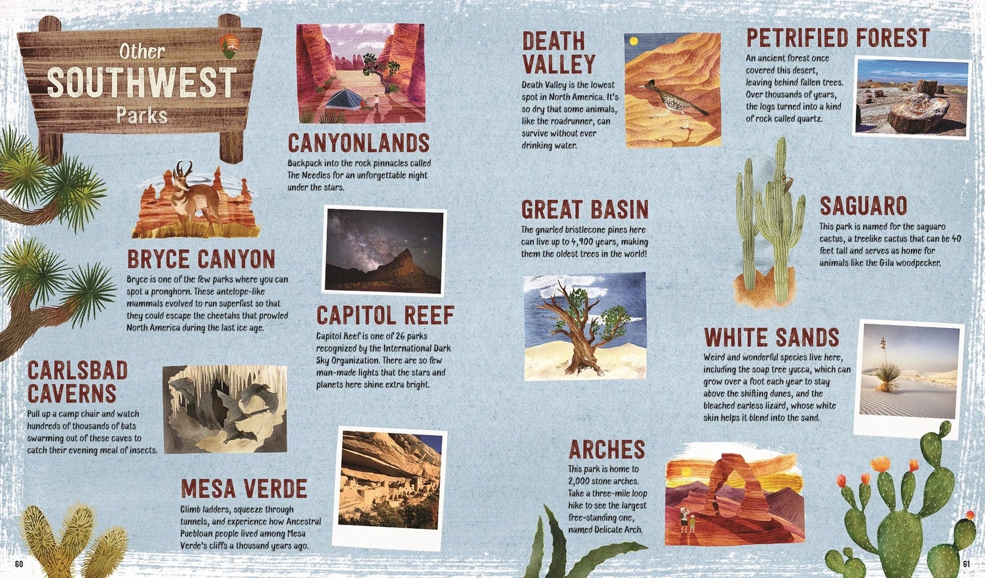 Explore! America's National Parks EDC Publishing Lil Tulips