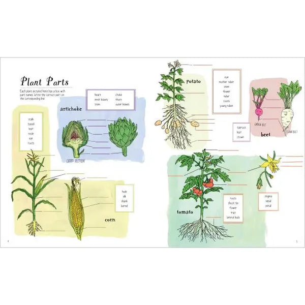 Farm Anatomy Activity Book Hachette Lil Tulips