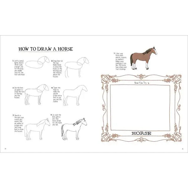 Farm Anatomy Activity Book Hachette Lil Tulips