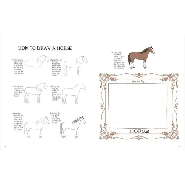 Farm Anatomy Activity Book Hachette Lil Tulips