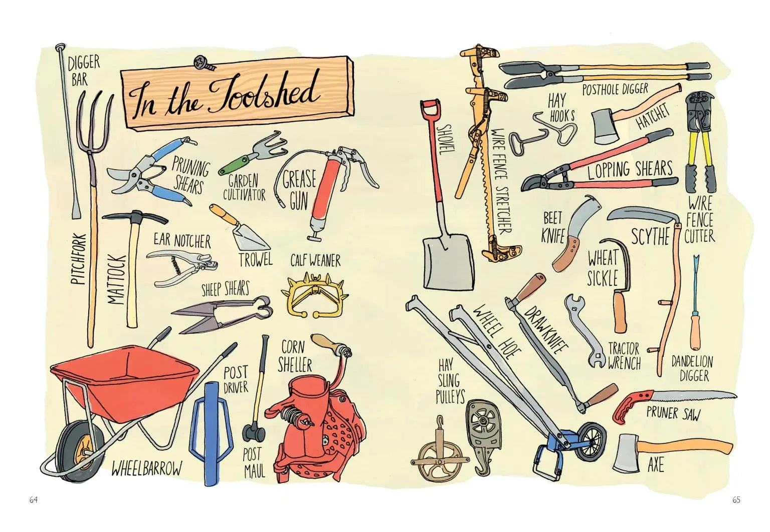 Farm Anatomy Book Hachette Lil Tulips