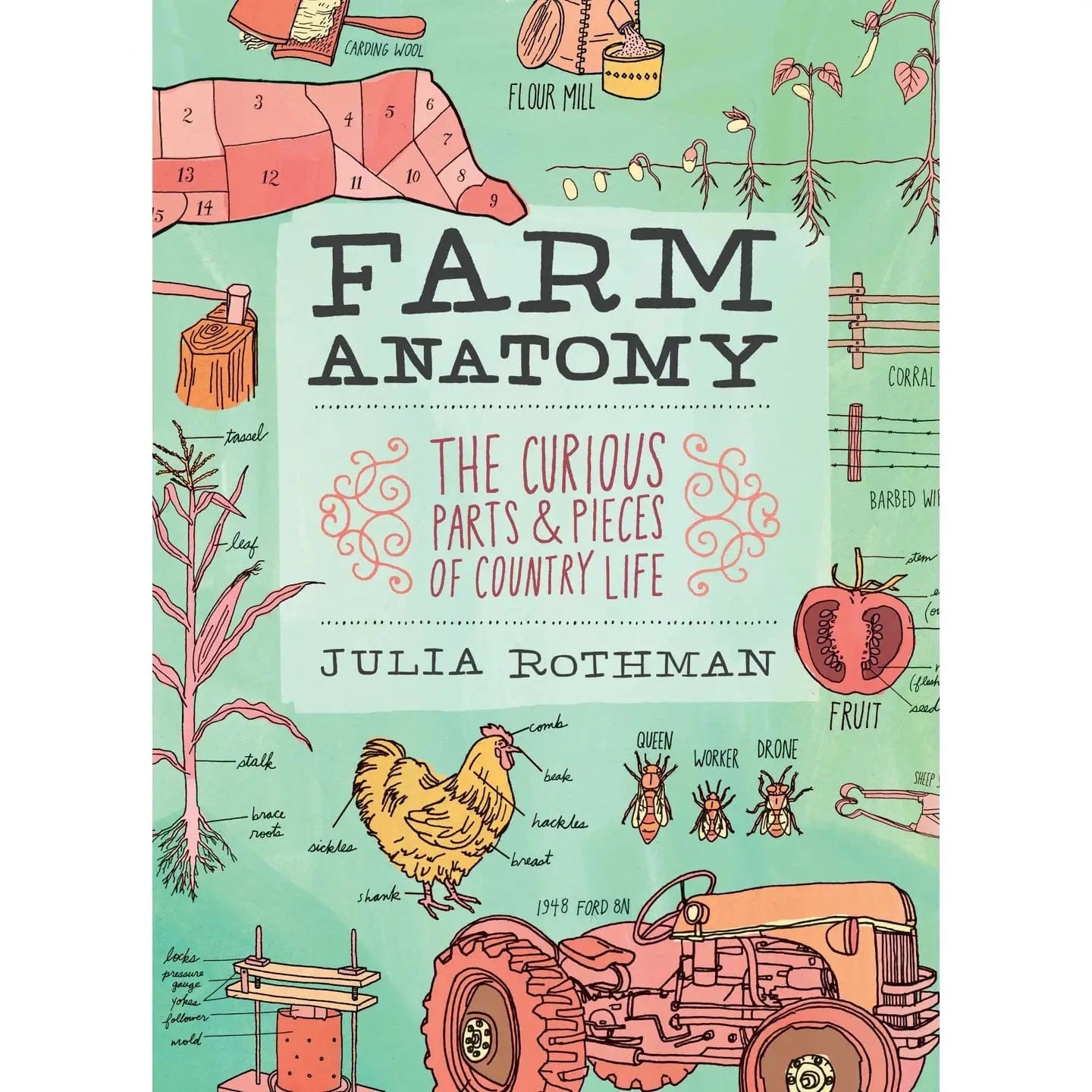 Farm Anatomy Book Hachette Lil Tulips