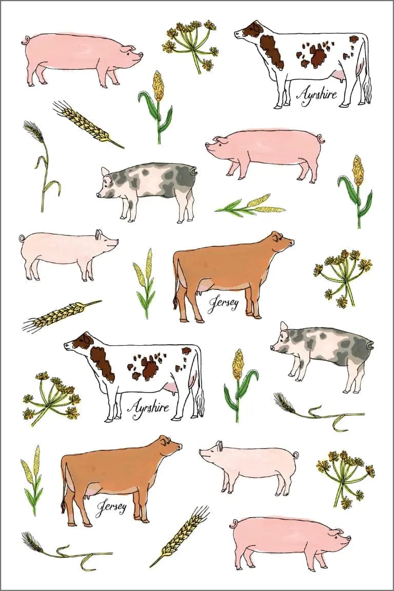 Farm Anatomy - Sticker Book Hachette Lil Tulips