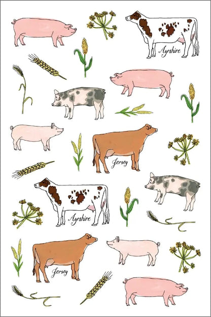 Farm Anatomy - Sticker Book Hachette Lil Tulips