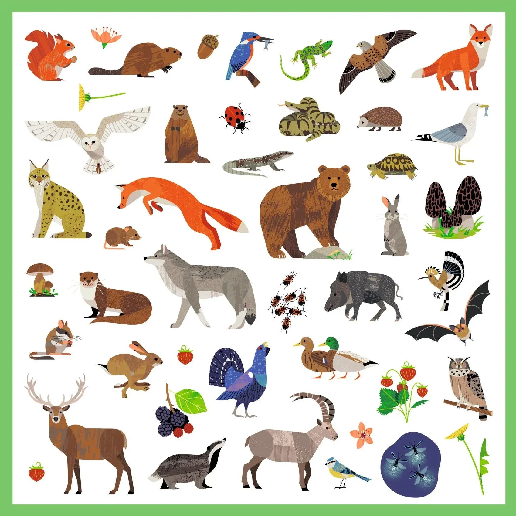 Fauna Sticker Sheets Djeco Lil Tulips
