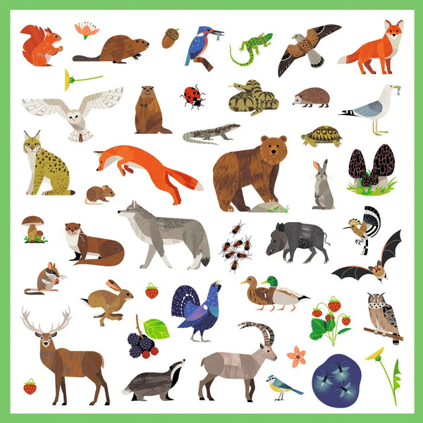 Fauna Sticker Sheets Djeco Lil Tulips