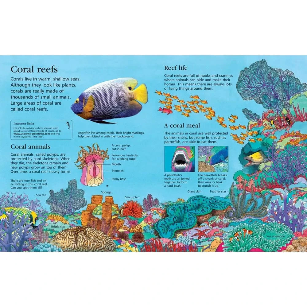 First Encyclopedia of Seas and Oceans Harper Collins Childrens Lil Tulips