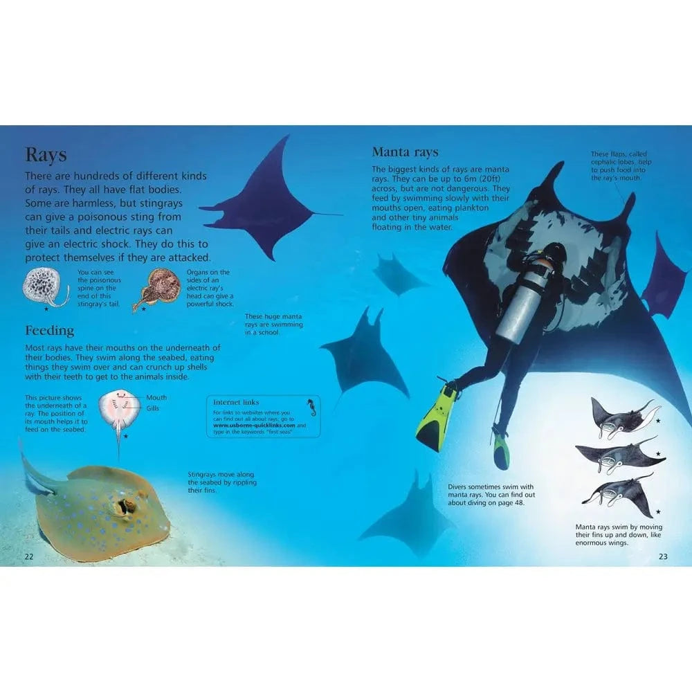 First Encyclopedia of Seas and Oceans Harper Collins Childrens Lil Tulips