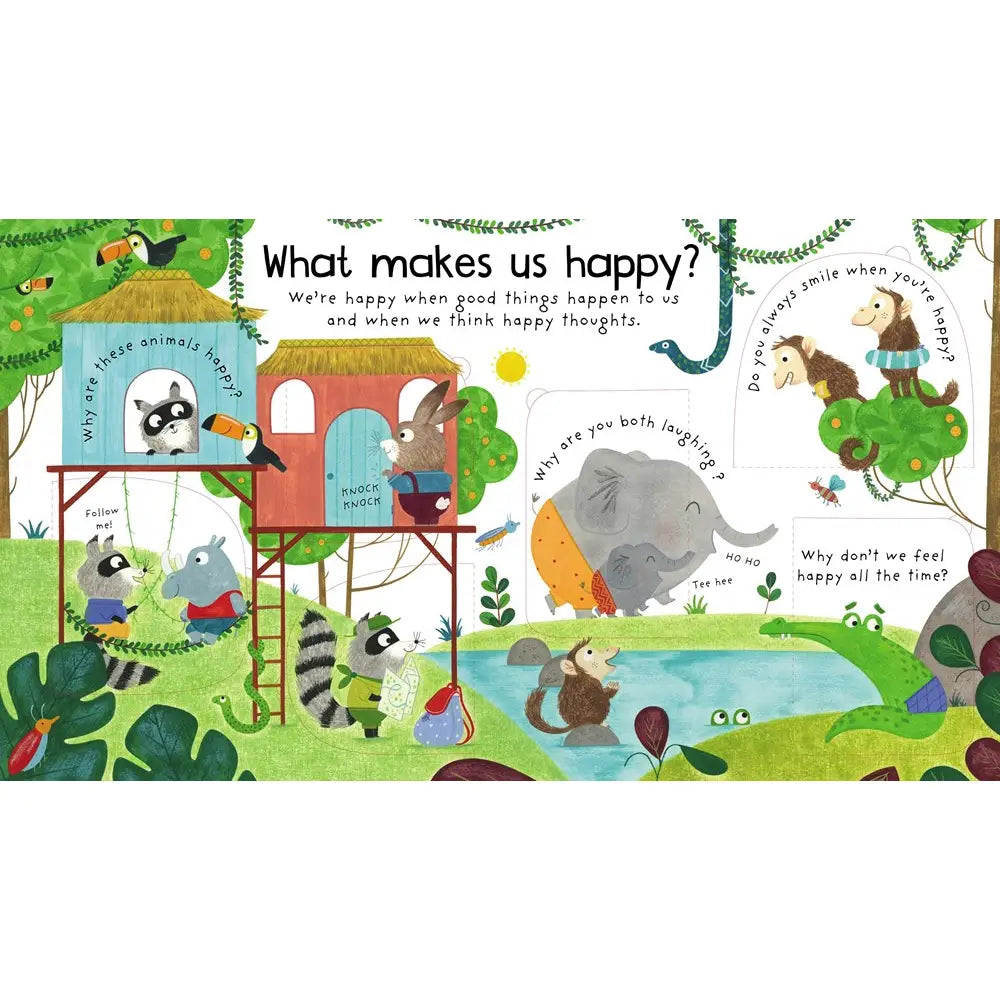 First Questions and Answers: What Are Feelings? Harper Collins Childrens Lil Tulips