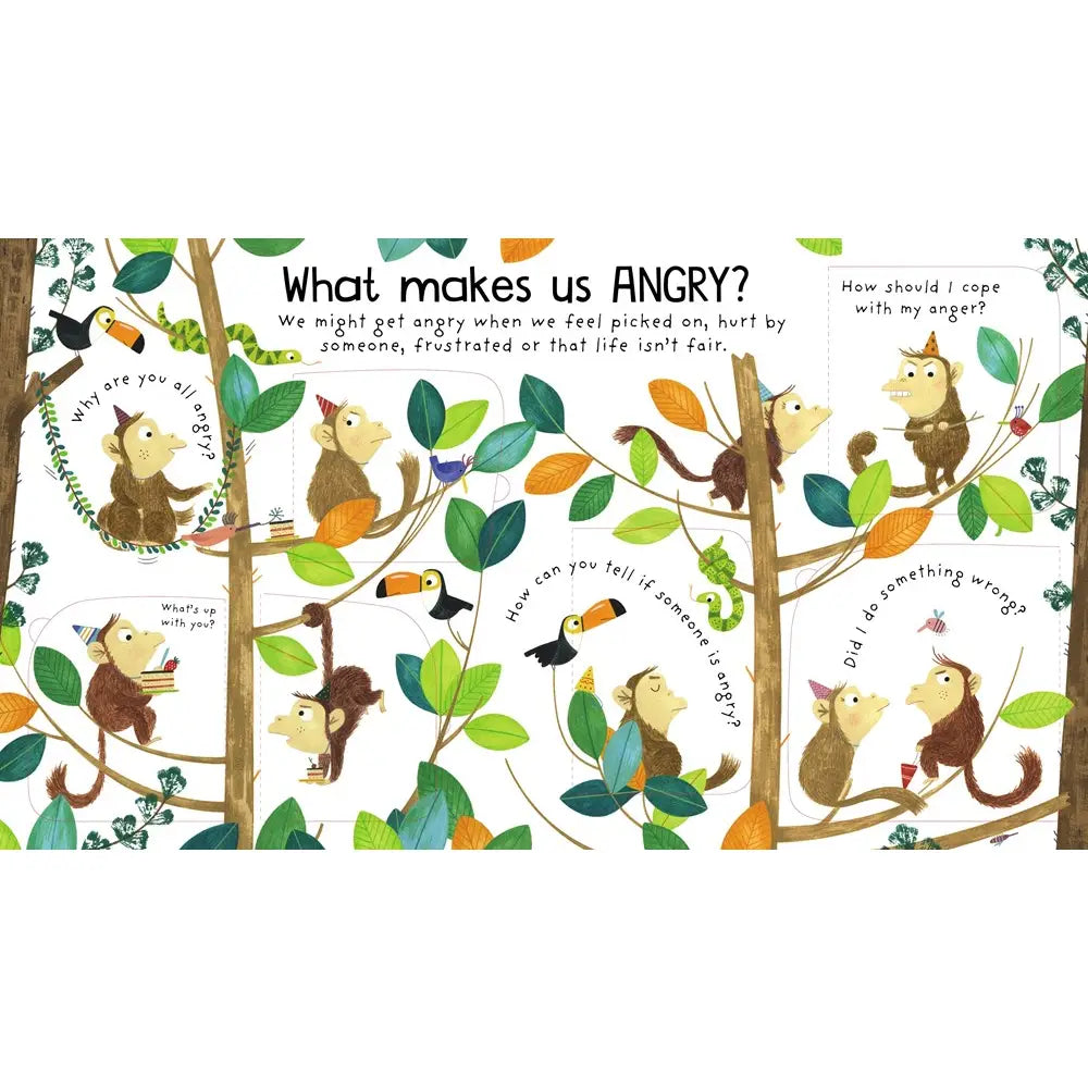 First Questions and Answers: What Are Feelings? Harper Collins Childrens Lil Tulips