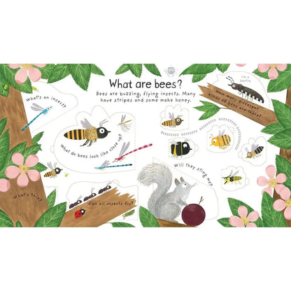 First Questions and Answers: Why do we need bees? Harper Collins Childrens Lil Tulips
