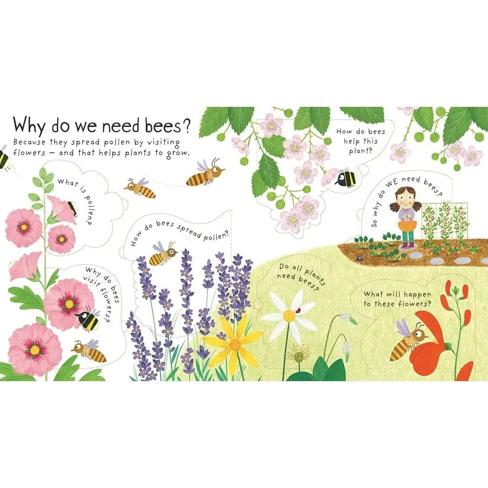 First Questions and Answers: Why do we need bees? Harper Collins Childrens Lil Tulips