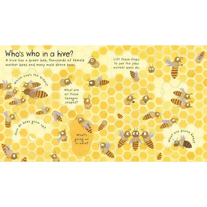 First Questions and Answers: Why do we need bees? Harper Collins Childrens Lil Tulips