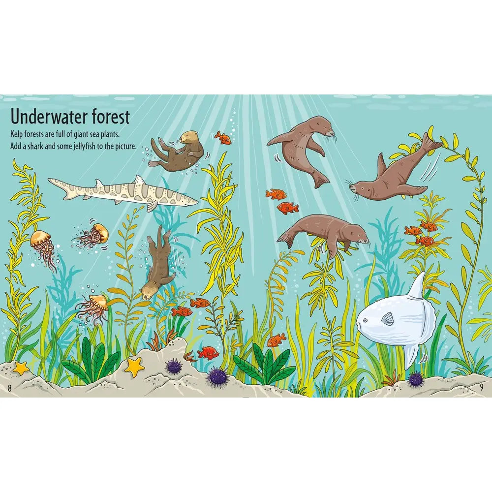 First Sticker Book Under the Sea Harper Collins Childrens Lil Tulips