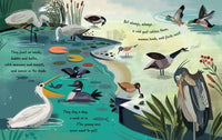 Follow the Flyway: The Marvel of Bird Migration Barefoot Books Books Lil Tulips