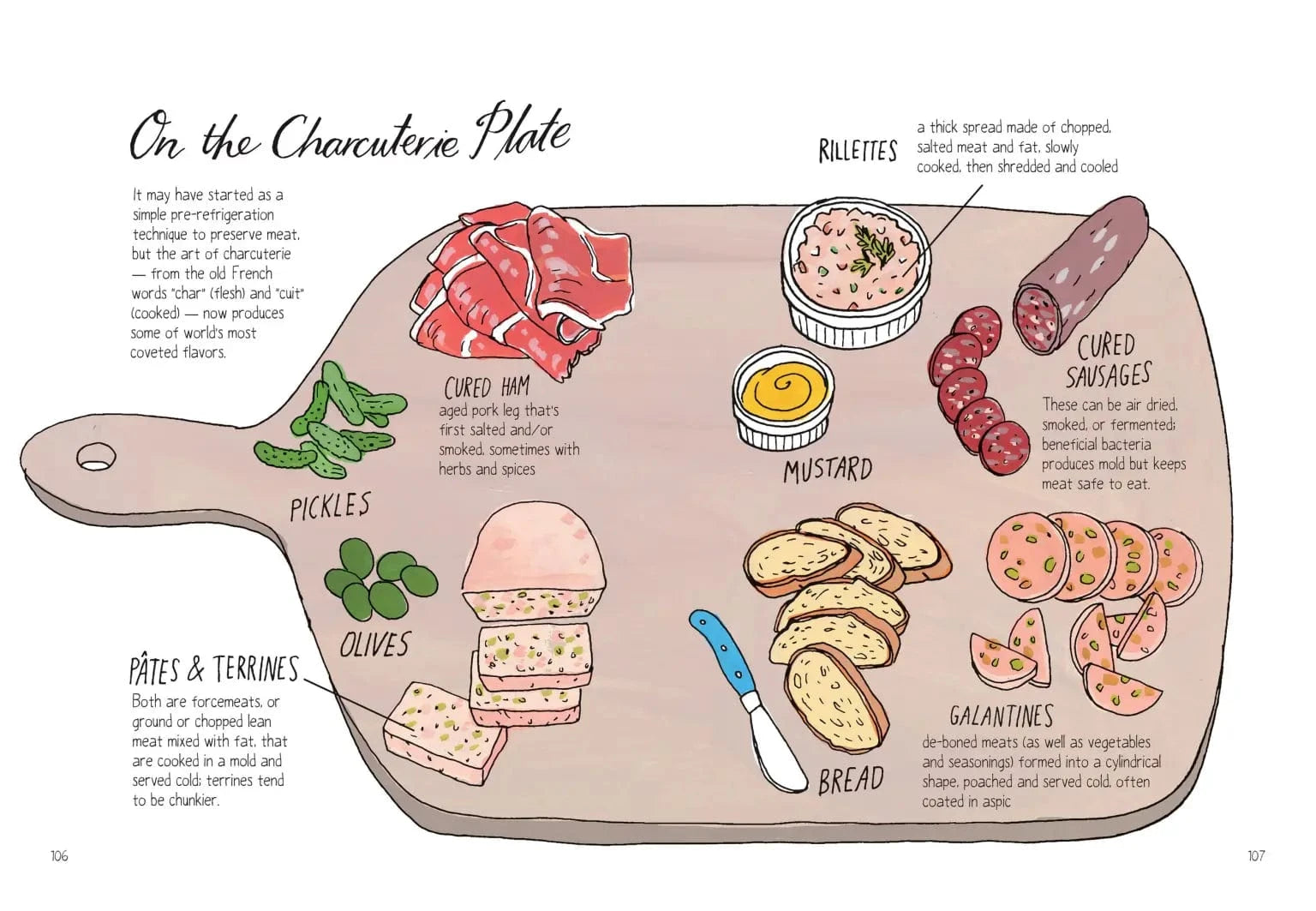 Food Anatomy Book Hachette Lil Tulips