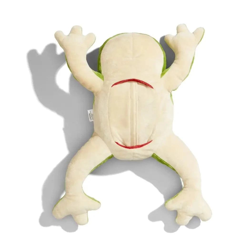 Froggie Dissection Lab, Anatomy Learning Toy For Kids KiwiCo, Inc. Lil Tulips