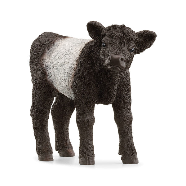 Galloway Calf Farm Animal Toy Schleich Lil Tulips